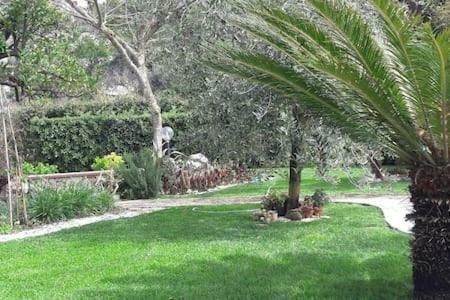 Formia, suite con splendido giardino Exterior foto